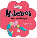 Kelebek Nasıl Yaratılıyor?