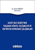 Kuzey Buz Denizi'nde Yaşanan Güncel Gelişmeler ve CMI'nin Bu Konudaki Çalışmaları