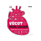 Vücut Nasıl Çalışır