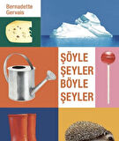 Şöyle Şeyler Böyle Şeyler