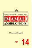 Kuran, Hadis ve Tarih Işığında İmam Ali Ansiklopedisi C.14
