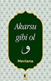 Akarsu Gibi Ol