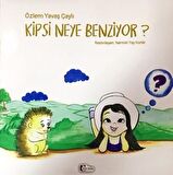 Kipsi Neye Benziyor?