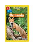 Ormanda - Seviye 1