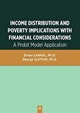 Income Distribution And Poverty Implications With Financial Considerations