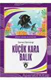 Küçük Kara Balık