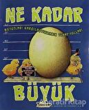 Ne Kadar Büyük