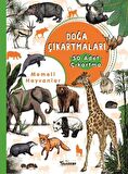 Memeli Hayvanlar Doğa Çıkartmaları