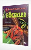 Böcekler - Bunları Tanıyorum!