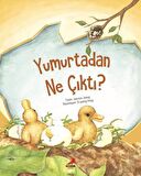 Yumurtadan Ne Çıktı?
