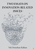 Two Essays on İnnovation-Related Issues