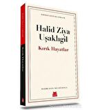 Kırık Hayatlar