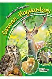 Hayvanları Tanıyorum - Orman Hayvanları