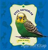 Dokun ve Hisset: Evcil Hayvanlar