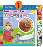 1+ Yaş Dostumuz Evcil Hayvanlar