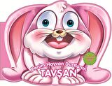 Tavşan - Benim Hayvan Dostlarım