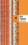 Risk Toplumu