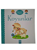 Hayvanları Tanıyalım - Koyunlar