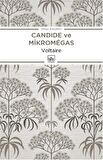Candide ve Mikromegas