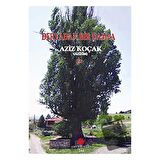 Deryadan Bir Damla / Can Yayınları (Ali Adil Atalay) / Aziz Koçak