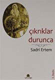 Çıkrıklar Durunca