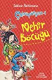 Çalısüpürgesi 1 - Nehir Böcüğü