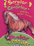 Sorular ve Cevaplar - Atlar ve Poniler