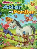 Atlar ve Poniler 2