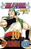 Bleach 10. Cilt