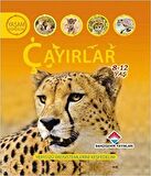 Yaşam Döngüsü-Çayırlar