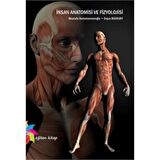 İnsan Anatomisi Ve Fizyolojisi