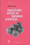 Kapitalizmin Sınırları ve Toplumsal Proletarya