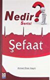 Nedir Serisi? - Şefaat