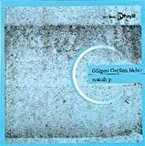 Gölgesi Geçilen Nehir