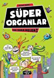 Süper Organlar