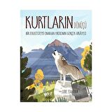 Kurtların Dönüşü: Bir Ekosistemi Onaran Yırtıcının Gerçek Hikayesi