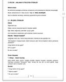 Dikkat Dedektifi İle Okuduğunu Anlama