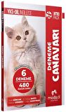 YKS-DİL IntroPack - Deneme Canavarı (6 Deneme)