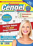 Fenomen Çengel Bulmaca 2