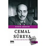 Cemal Süreya - Fırat Kenarında İnce Bir Duman