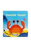 Eolo Denizde Yaşam