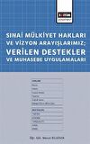 Sınai Mülkiyet Hakları ve Vizyon Arayışlarımız; Verilen Destekler ve Muhasebe Uygulamaları
