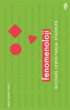 Fenomenoloji