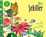 Mevsimlerle Matematik 4: Yaz ve Şekiller