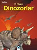 Dinozorlar
