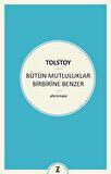 Bütün Mutluluklar Birbirine Benzer