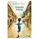 Kaledibi Sokağı