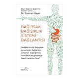 Bağırsak Bağışıklık Sistemi Bağlantısı
