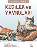 Kediler ve Yavruları - İlk Sorular ve Cevaplarla