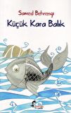 Küçük Kara Balık